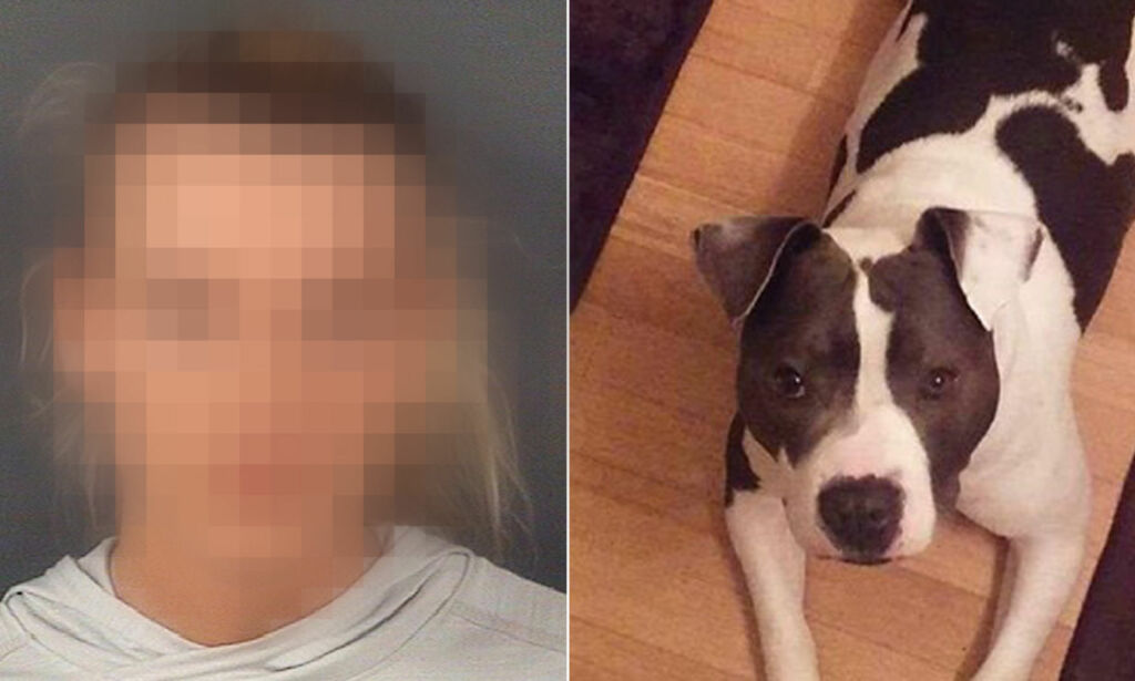Hun bandt hunden sin til et tre. Lo høyt mens hun skjøt den fem ganger