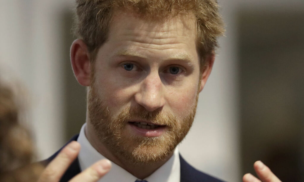 Prins Harry mener at ingen i kongefamilien egentlig vil bli konge og dronning