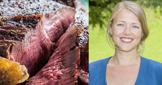 MDG vil forby kjøtt på billigsalg. - Latterlig, freser Frp-Bård