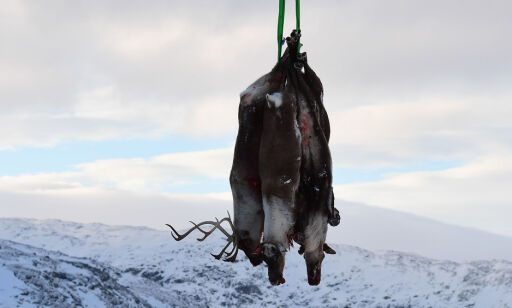 Ekspert frykter skrantesyke kan spre seg til mennesker