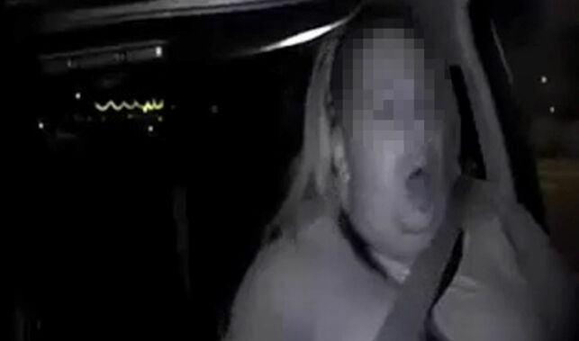 Her innser passasjeren i den selvkjørende bilen at det går galt