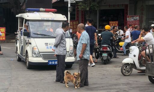 A man (centre R) with his dog walks past a police cart during the Yulin dog meat festival at the Dashichang market in Yulin in China's southern Guangxi region on June 21, 2018.
The festival in the southwestern town of Yulin has long drawn international criticism, with thousands of dogs traditionally being killed during the event. / AFP PHOTO / PAK YIU
