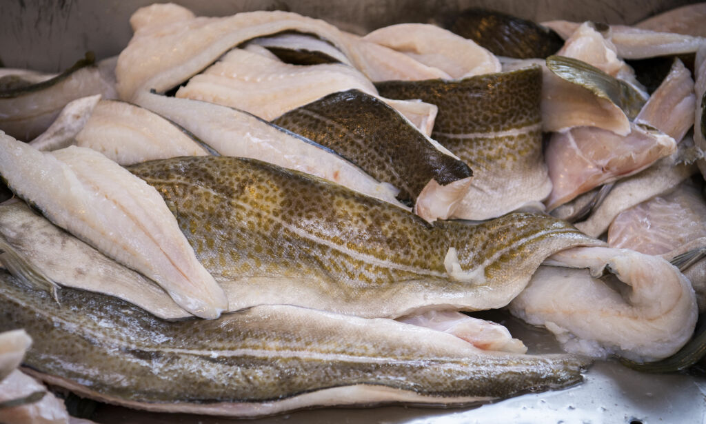 Skjulte opptak avdekket skandalen: Norsk fisk pumpes full av kjemikalier i Kina