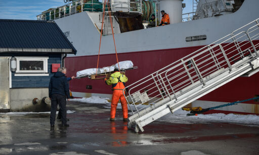 Her heises det mystiske liket i land i Båtsfjord