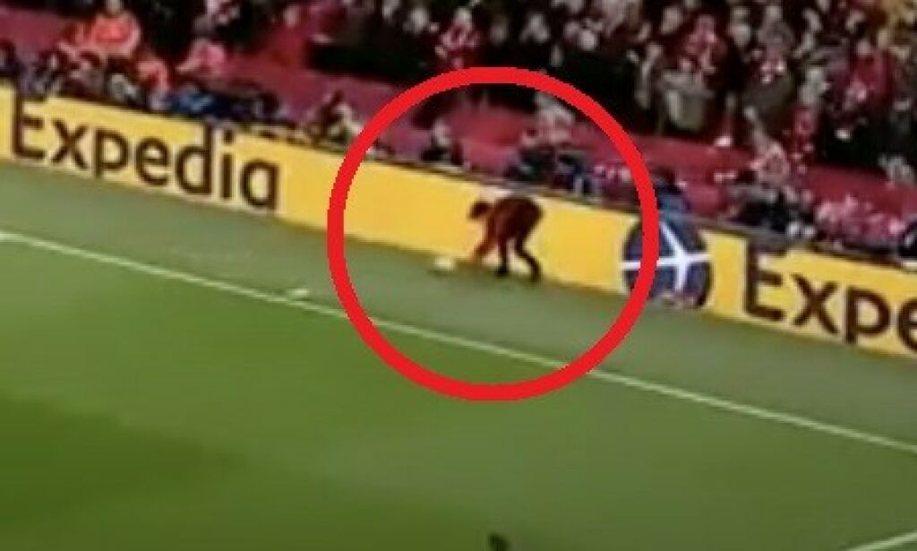 Hyller usannsynlig Liverpool-helt