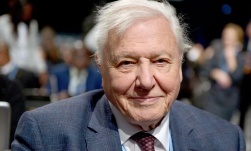 Attenboroughs dystre advarsel: - Sivilisasjonen vår kan kollapse